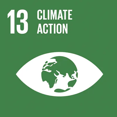 corporate sustainability challenges